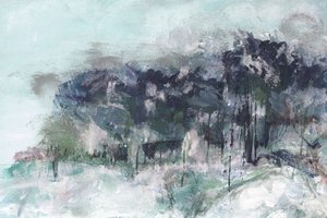 Forêt hivernale brumeuse