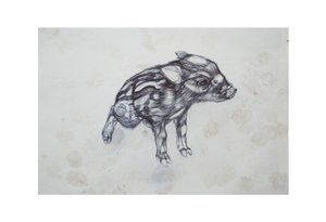 Petit Cochon - Lou Gibbs