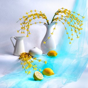 Nature morte florale jaune vif
