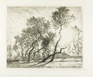 Ferme avec peupliers hollandais - Louis Auguste Lepère