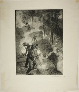 Brûleurs de fougères dans la forêt