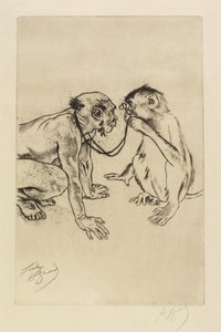 Anatomie comparée - Louis Auguste Mathieu Legrand