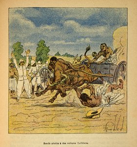 La guerre à Madagascar - Histoire anecdotique des expéditions françaises de 1885-1895 par Henri Galli dit Gallichet (1854-1922), illustrée par Louis Bombled (1862-1927) : Bœufs atteints par des voitures Lefebvre