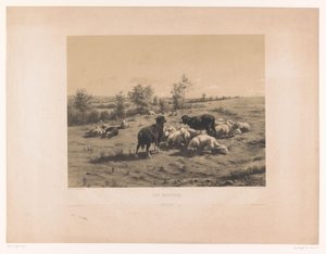 Moutons dans un pré
