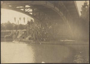 [Pont sur la rivière] - Louis Fleckenstein
