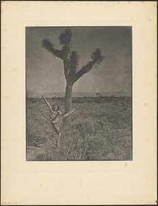 [Danseuse à Joshua Tree] - Louis Fleckenstein