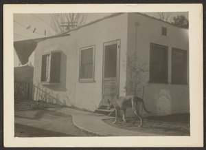 [Chien près de la maison]