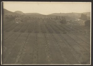 [Paysage agricole]