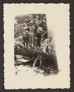 [Figures dans les bois]