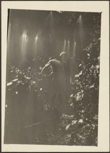 [Figures dans les bois] - Louis Fleckenstein