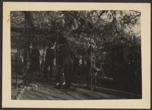 [Figures dans les bois]
