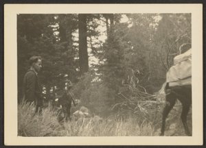 [Figures dans un paysage boisé]