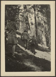 [Figures dans les bois]