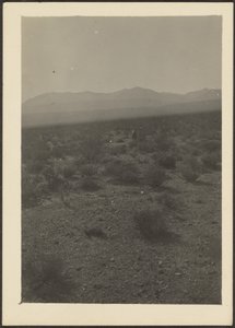 [Paysage] - Louis Fleckenstein