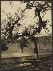 [Paysage]
