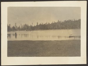 [Paysage] - Louis Fleckenstein