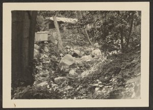 [Paysage] - Louis Fleckenstein