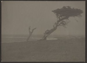 [Paysage] - Louis Fleckenstein