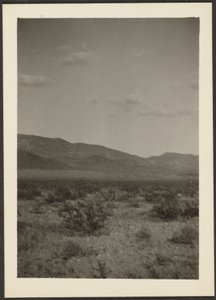 [Paysage] - Louis Fleckenstein
