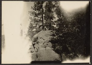 [Paysage] - Louis Fleckenstein