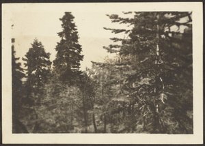[Paysage] - Louis Fleckenstein