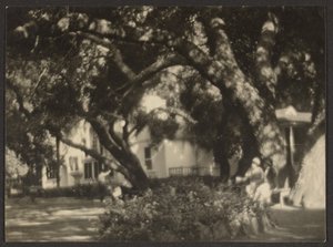 [Paysage] - Louis Fleckenstein
