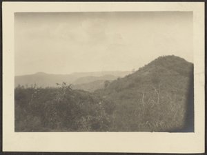 [Paysage]