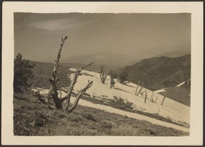 [Paysage] - Louis Fleckenstein