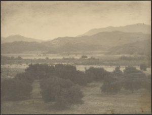 [Paysage avec arbres bas] - Louis Fleckenstein