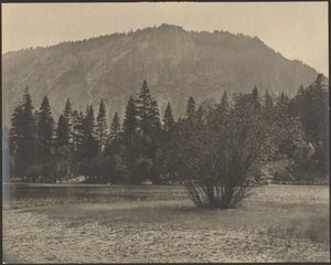[Paysage avec falaises rocheuses]
