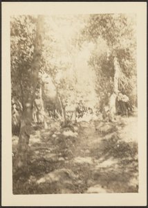 [Paysage avec cerfs sauvages] - Louis Fleckenstein