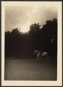 [Homme à cheval avec arbres sombres et ciel clair]