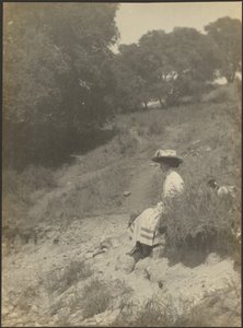 Mlle Mullin