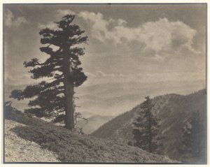 [Sur la crête vers Old Baldy]