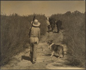 Sur une chaîne désertique