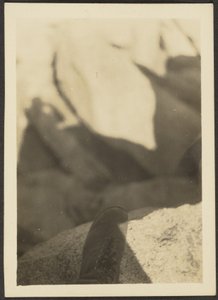 [Chaussure sur rochers]