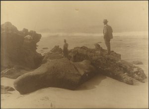 [Trois hommes pêchant depuis les rochers de la plage] - Louis Fleckenstein