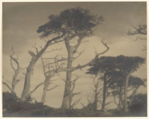 Frères jumeaux - Carmel - Louis Fleckenstein