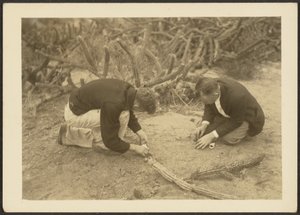 [Deux hommes et un cactus] - Louis Fleckenstein