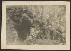 [Femme sur des rochers dans les bois]