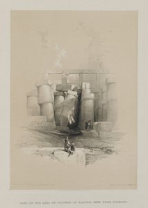 Égypte et Nubie, Volume II : Partie de la salle des colonnes à Karnak, Thèbes - Louis Haghe