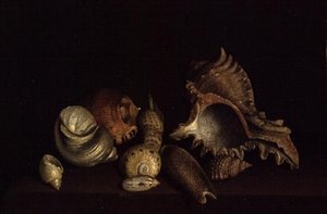 Nature morte de coquillages sur un rebord - Louis Hubner