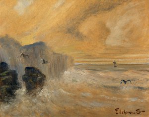 Bord de mer rocheux