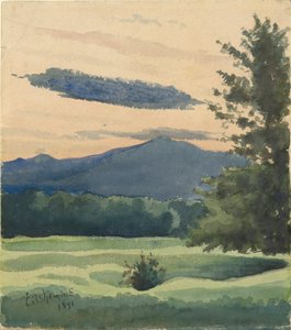 Prairie verte