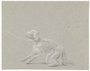 Chien en laisse