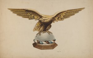 Aigle