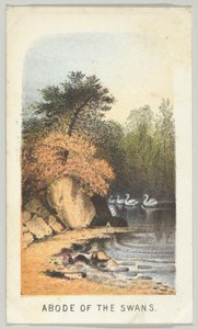 Demeure des cygnes, de la série, Vues de Central Park, New York, Partie 2