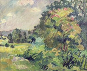 Paysage de Normandie