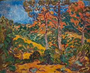 Lumière du soleil sous les arbres