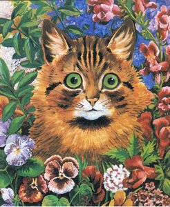 Étude de chat